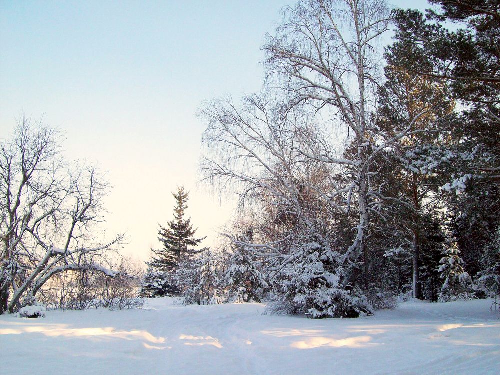 Photograph by Мигун Александра