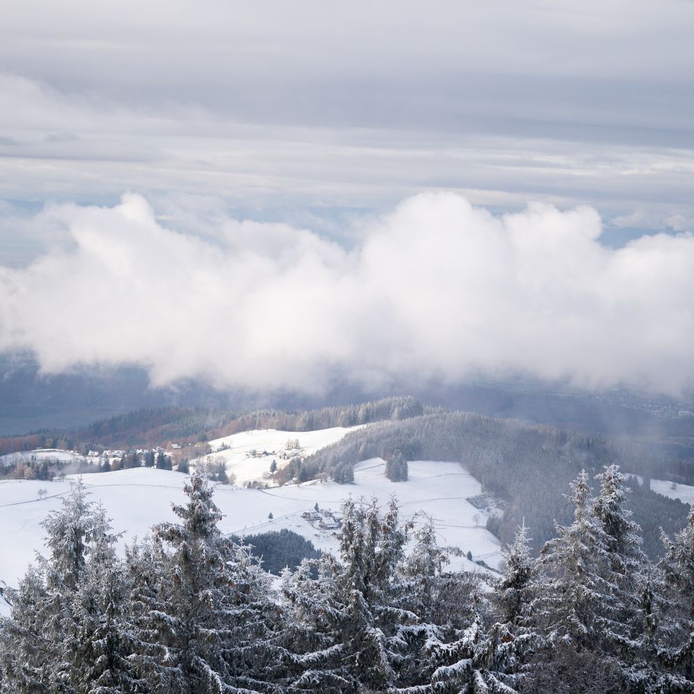 Photograph by Sviatlana