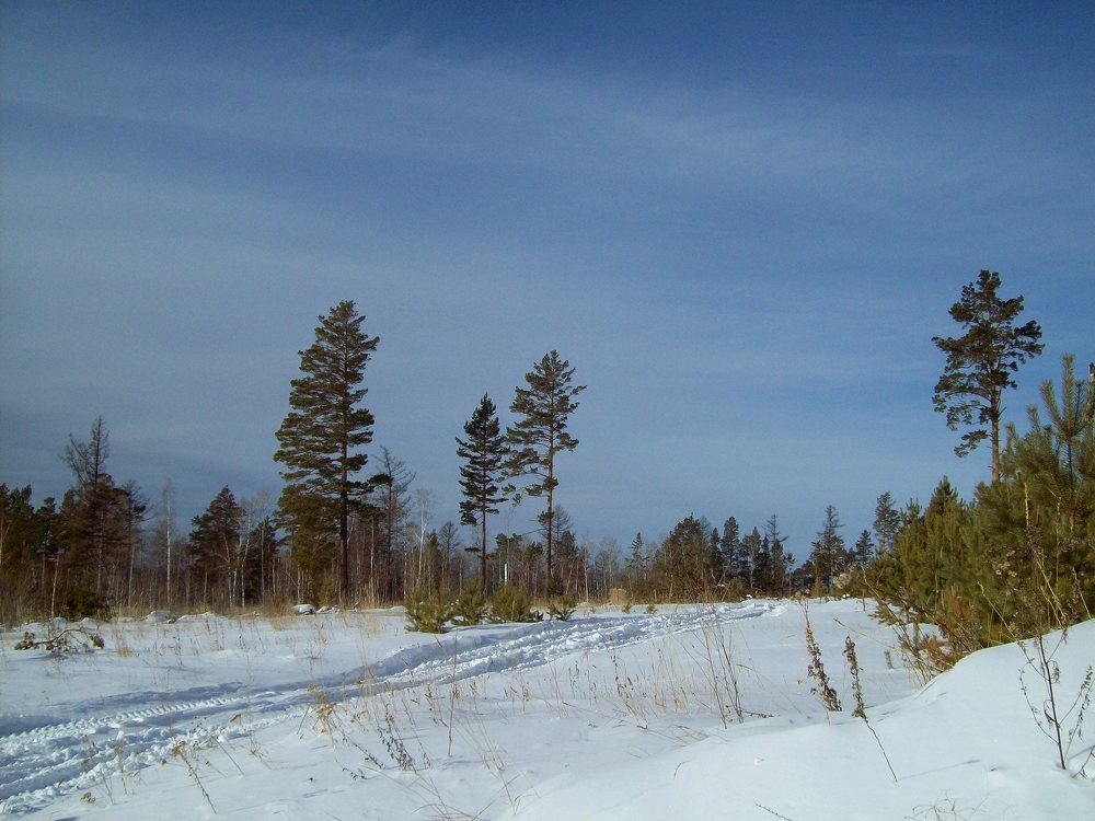 Photograph by Мигун Александра