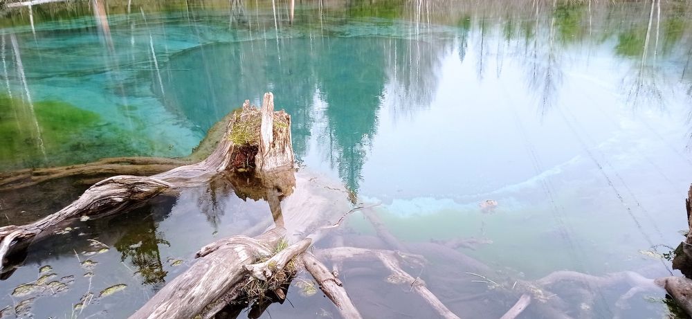 Photograph by Лариса Неудачина