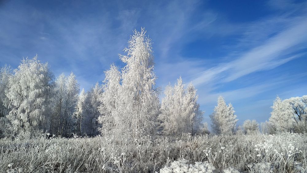 Photograph by Cергей Абакумов