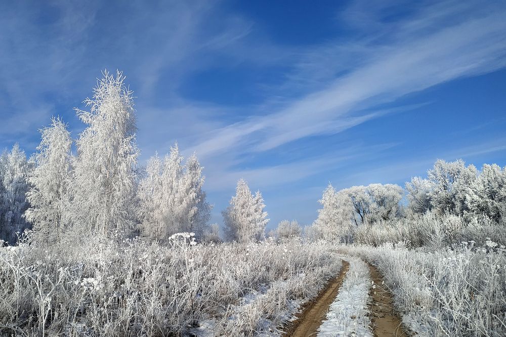 Photograph by Cергей Абакумов