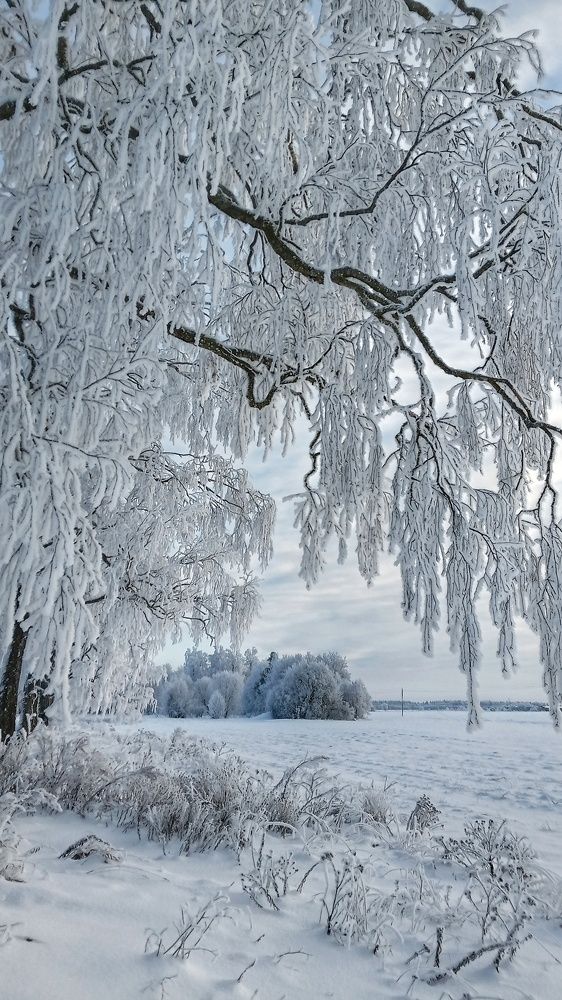 Photograph by Николай Мюллер
