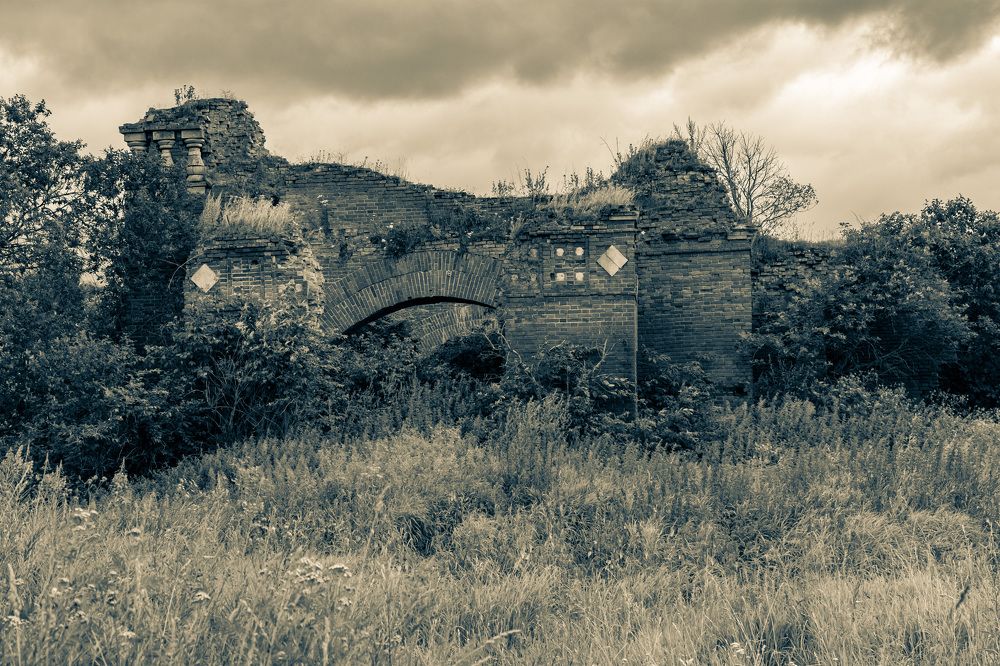 Photograph by Михаил Корнеев