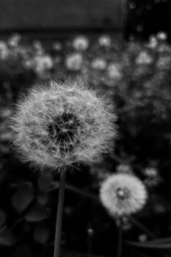 Photograph by Юлия Николаева