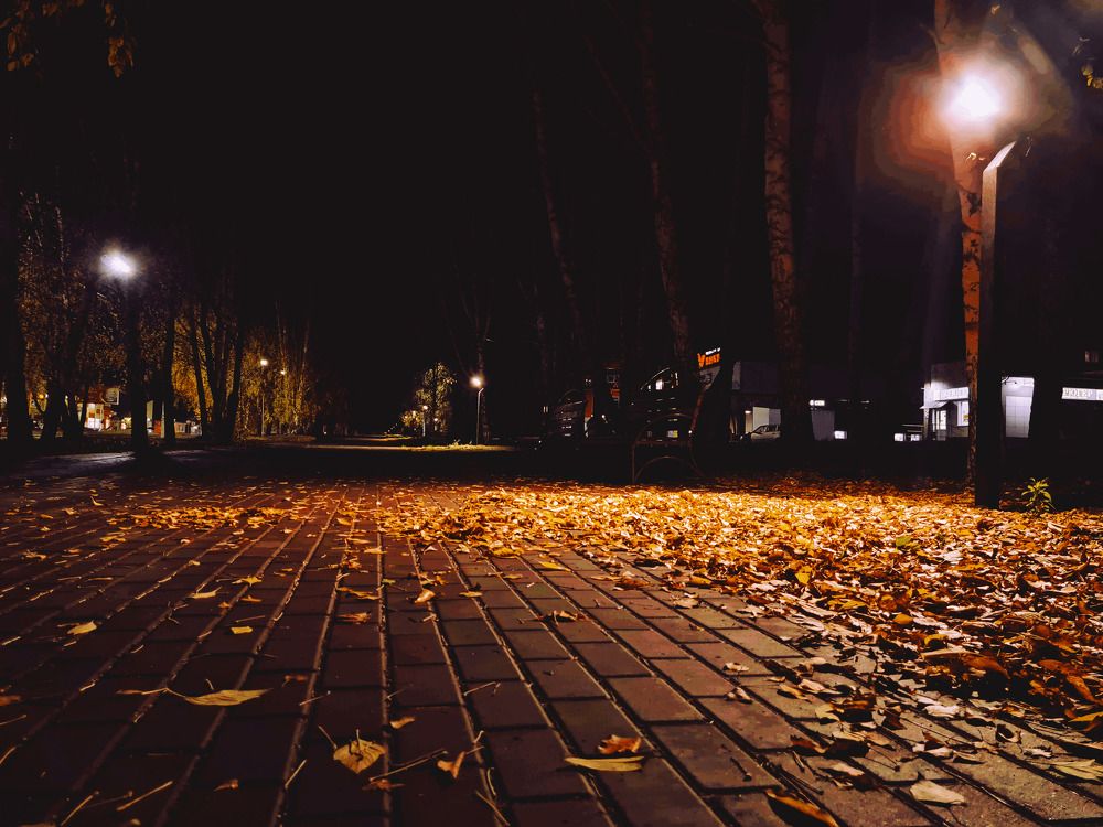 Photograph by Сергей Гриднев