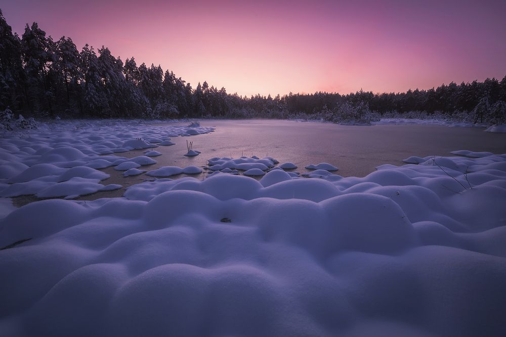 В свете зимнего заката