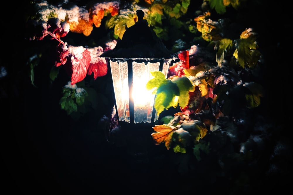 Photograph by Askar Kashapov