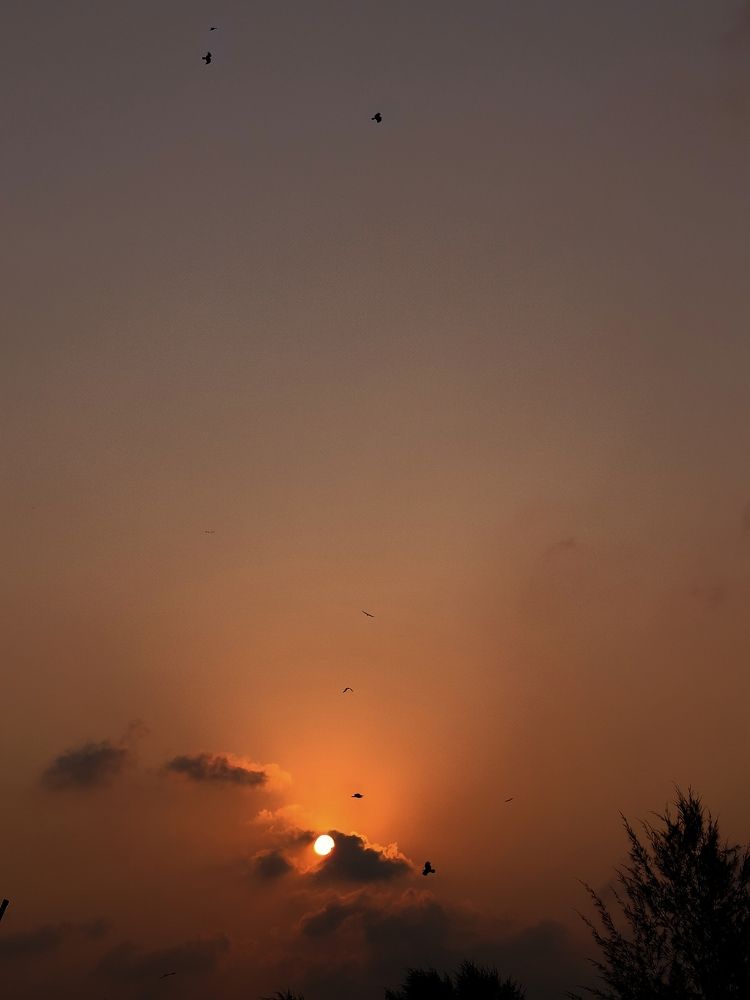 Sky