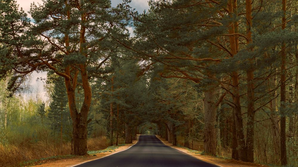 Photograph by Victoria Popkova