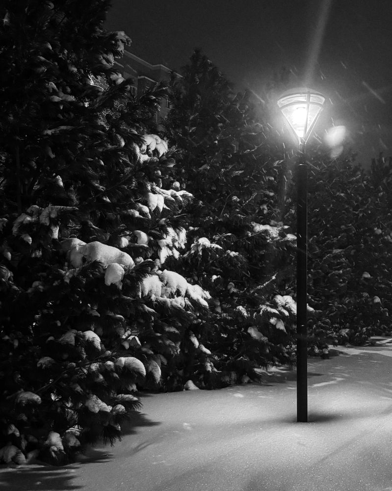 Photograph by Алиса Лошкарева