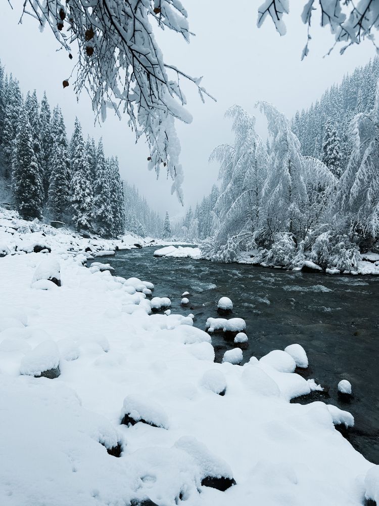 Photograph by Наталья Балеевских