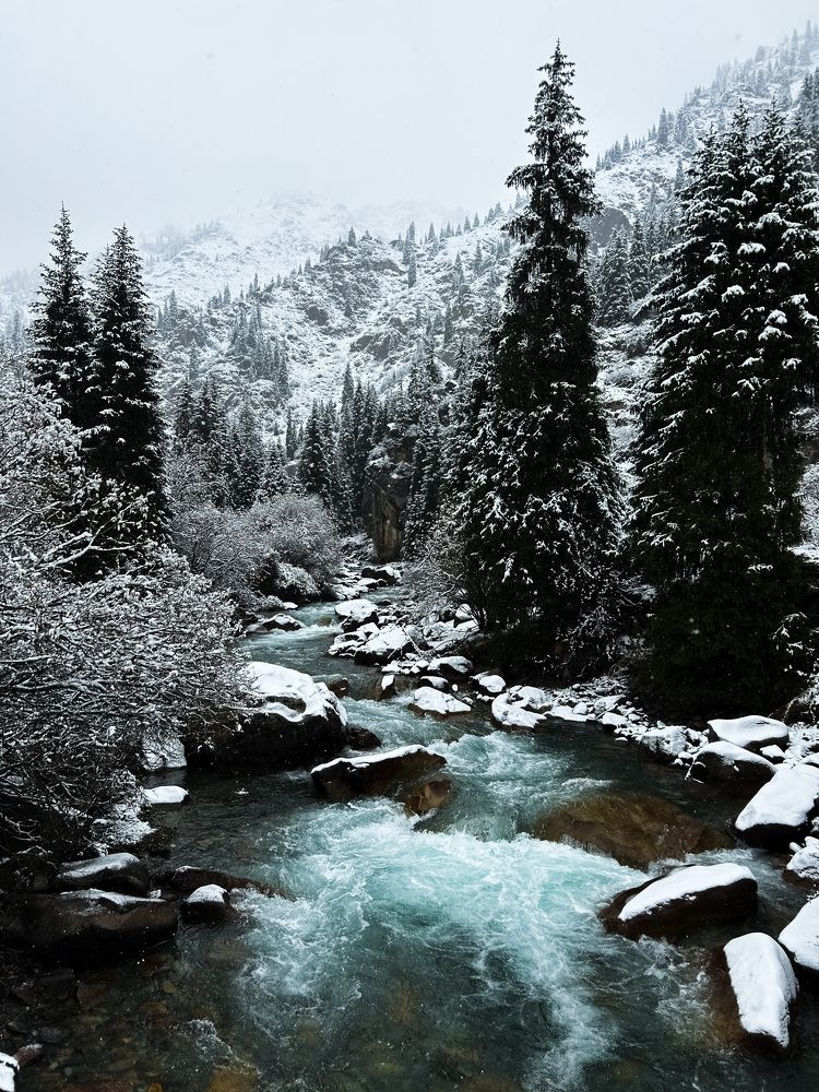 Photograph by Наталья Балеевских