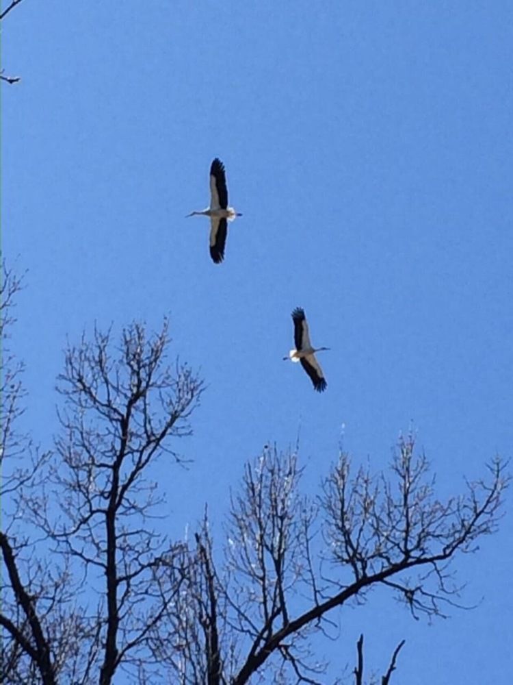 Photograph by Антонина Михалева