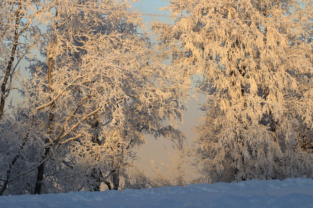Photograph by Екатерина Филина