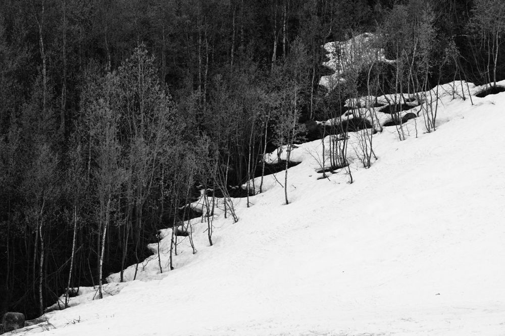 Photograph by Andrew Ezhkov