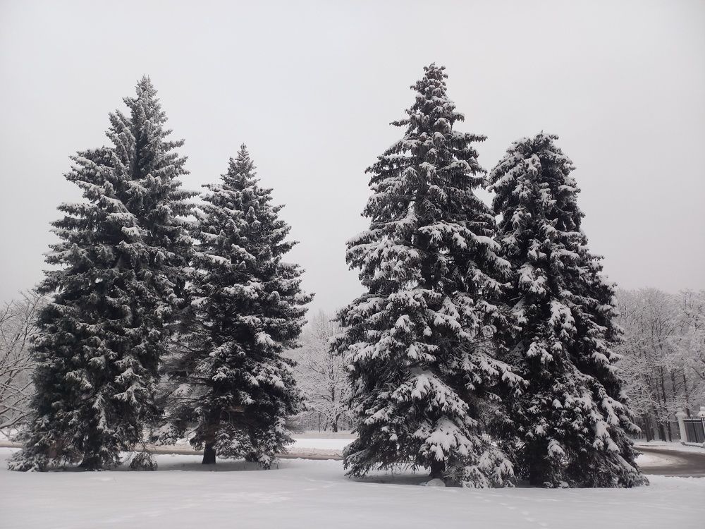 Photograph by Полина Зуева