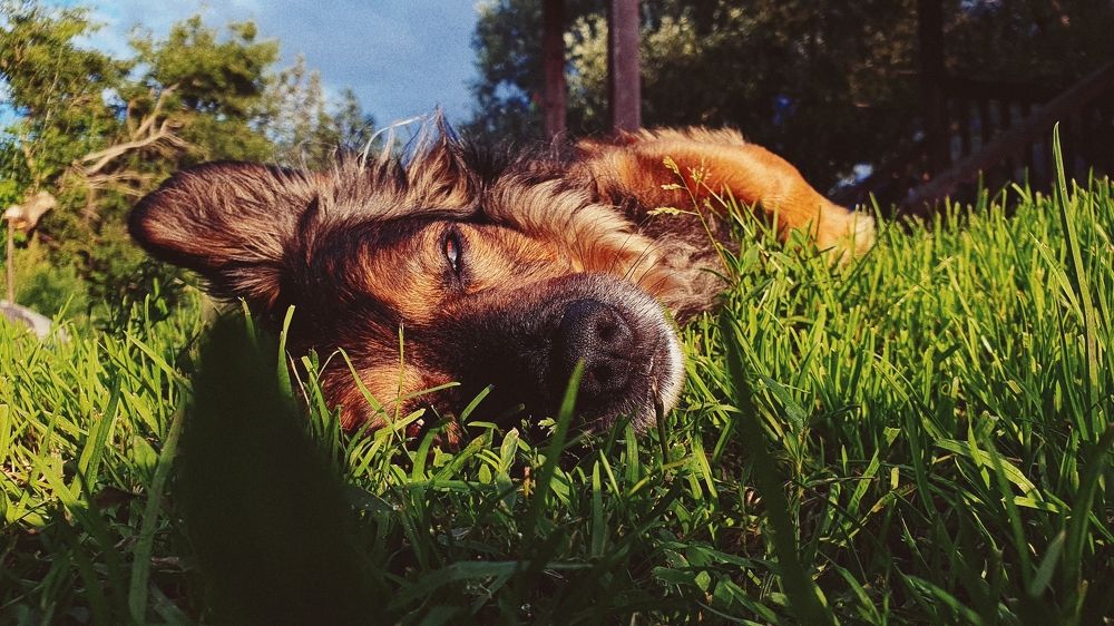 Photograph by Евгения