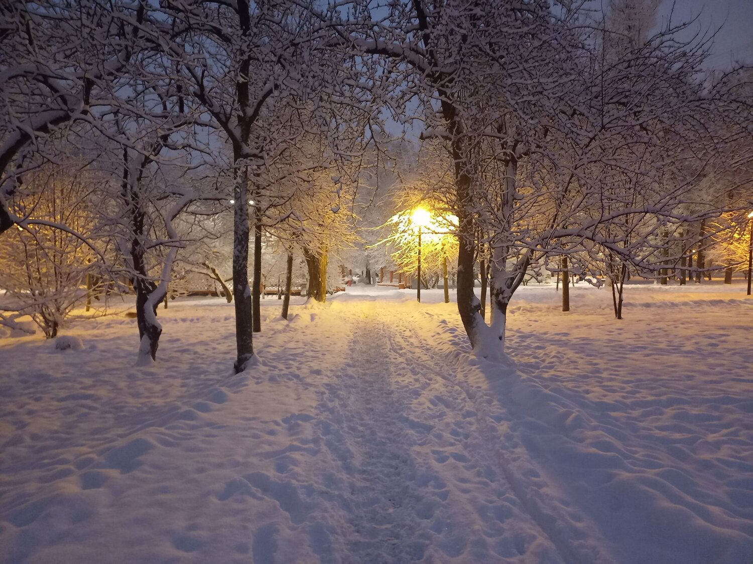 Photo #10011361