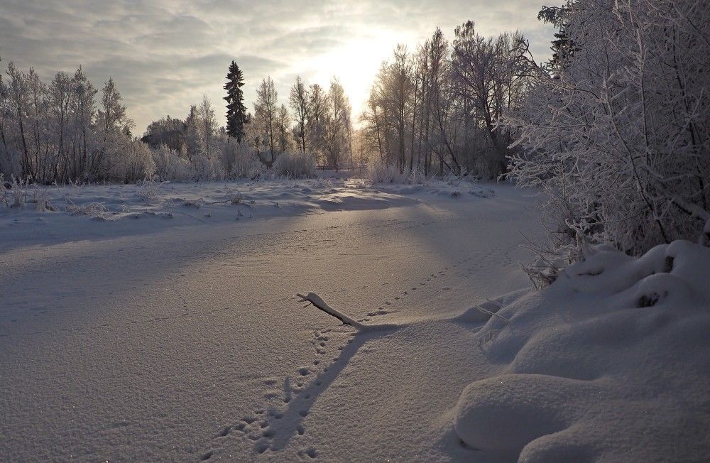 Следы по декабрю