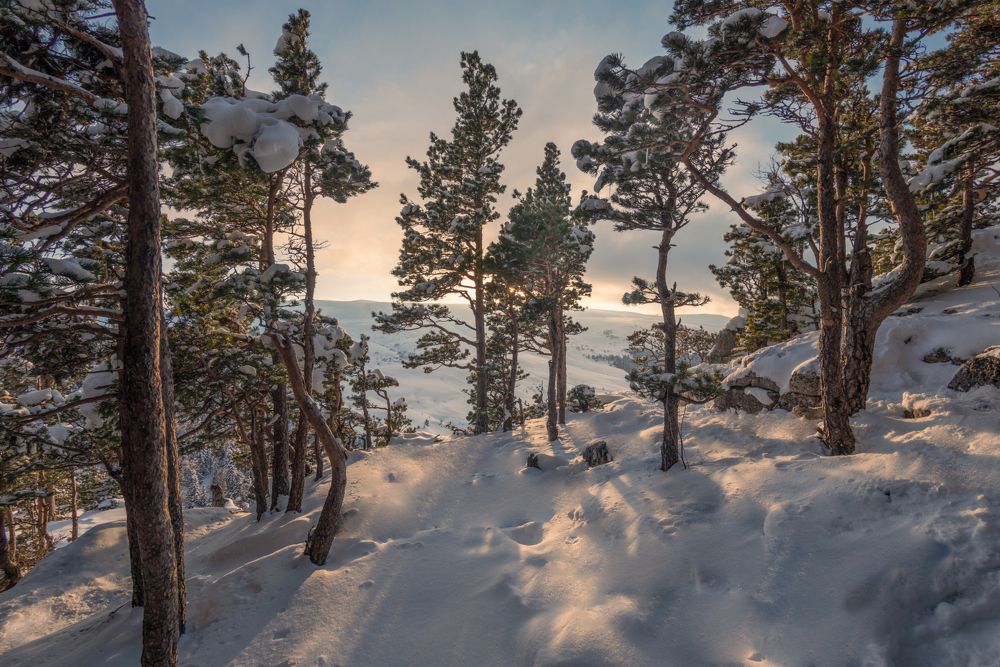 Photograph by Anatoly