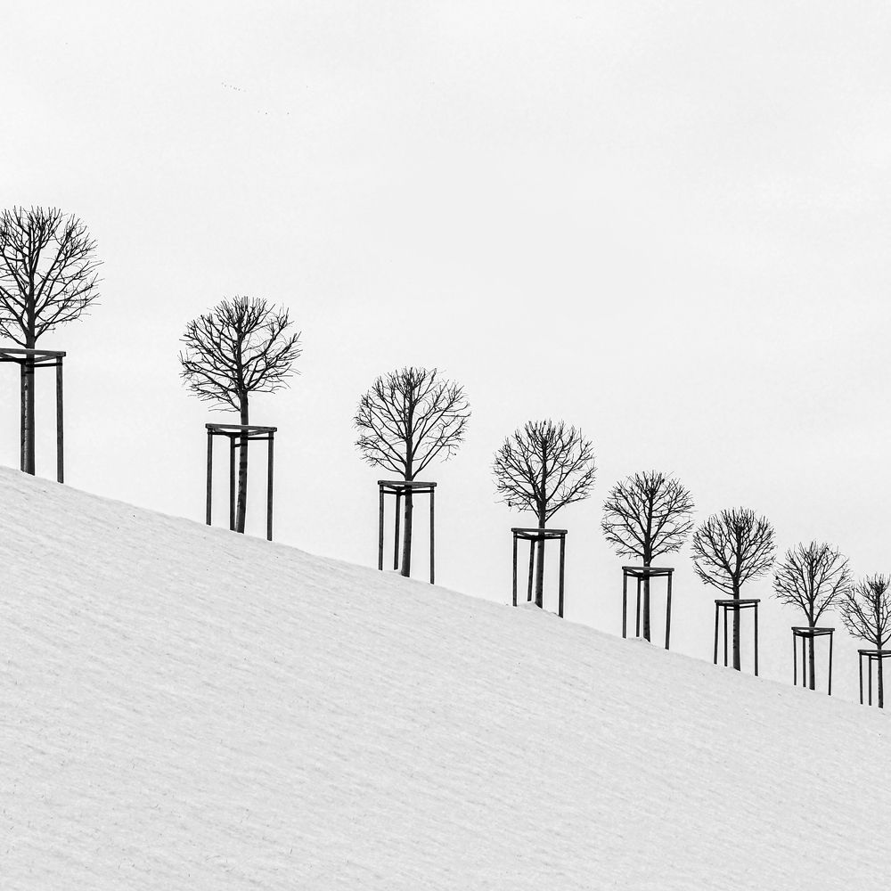 Photograph by Анжелика Титова