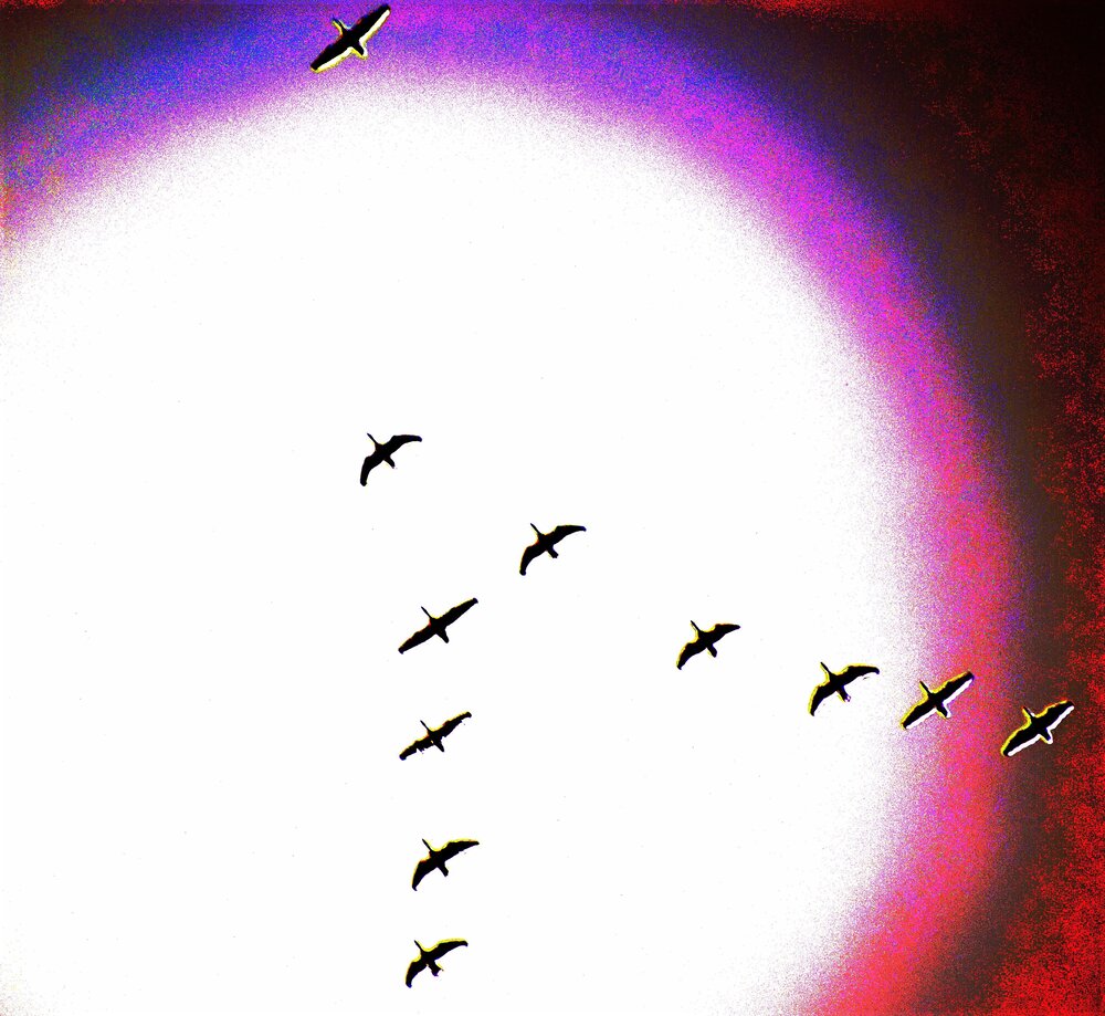 Photograph by Александр Шувалов