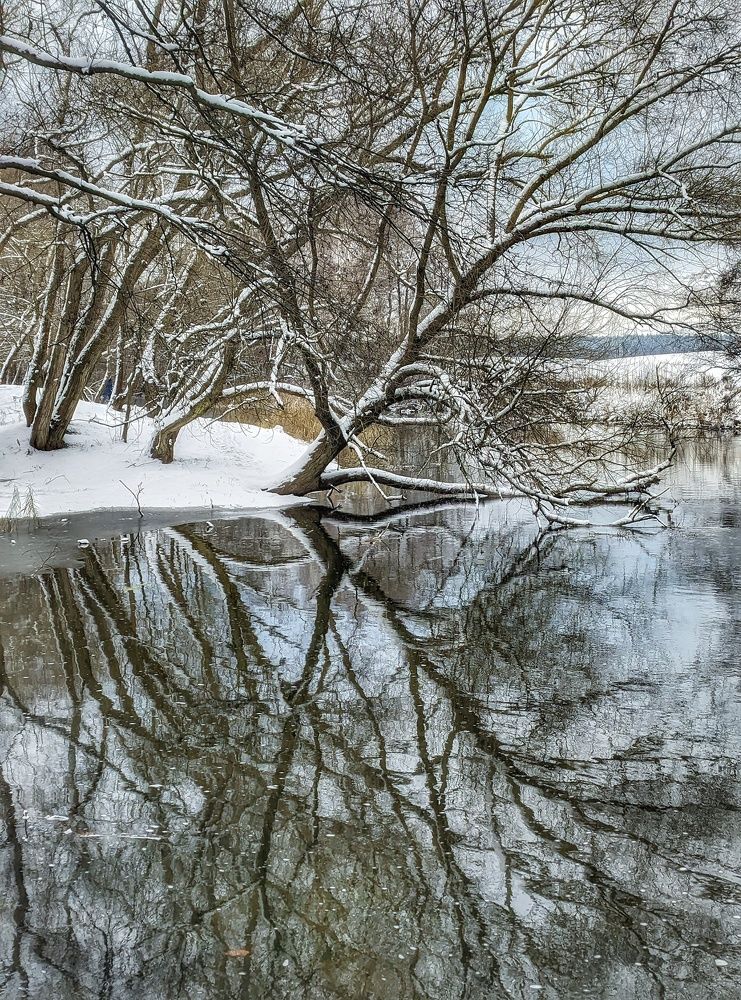 Photograph by Владимир Шаруба