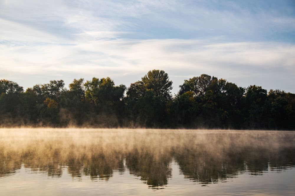 Фотография автора Balázs Török