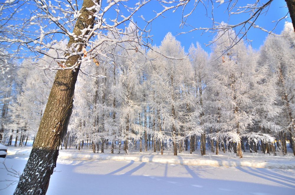 Фотография автора Клавдия Васильева