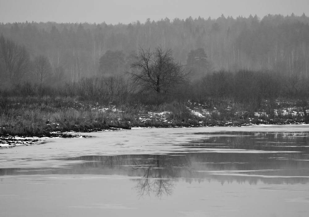 Photograph by Андрей Пляскин