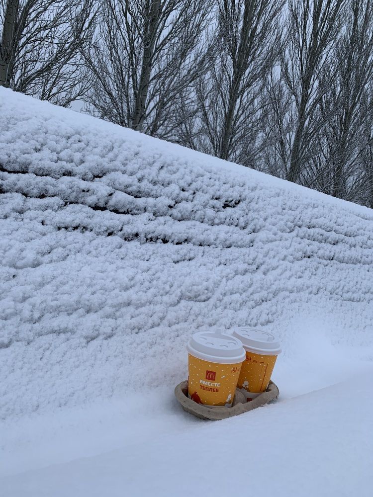 Photograph by гульназ замалеева