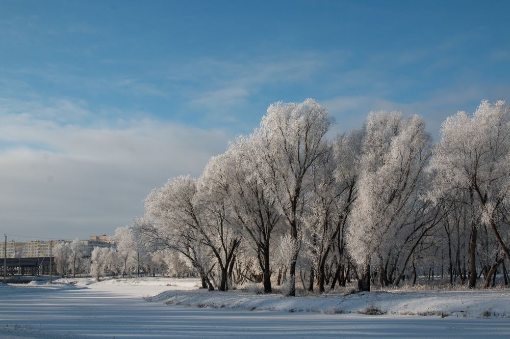 Фотография автора Марина Вишнякова