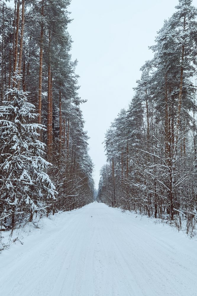 Photograph by Алексей Еремеев