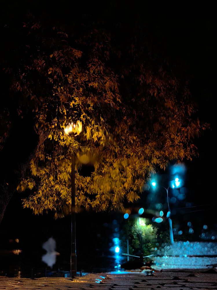 Фотография автора Ольга Панасюк