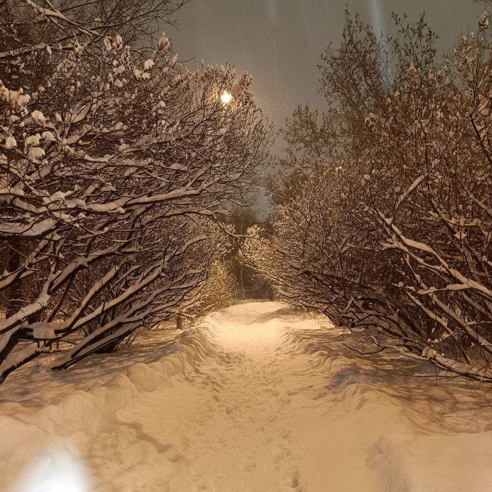 Photograph by Наталья