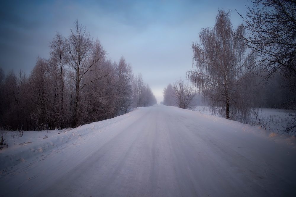 Photograph by Евгения Баширова