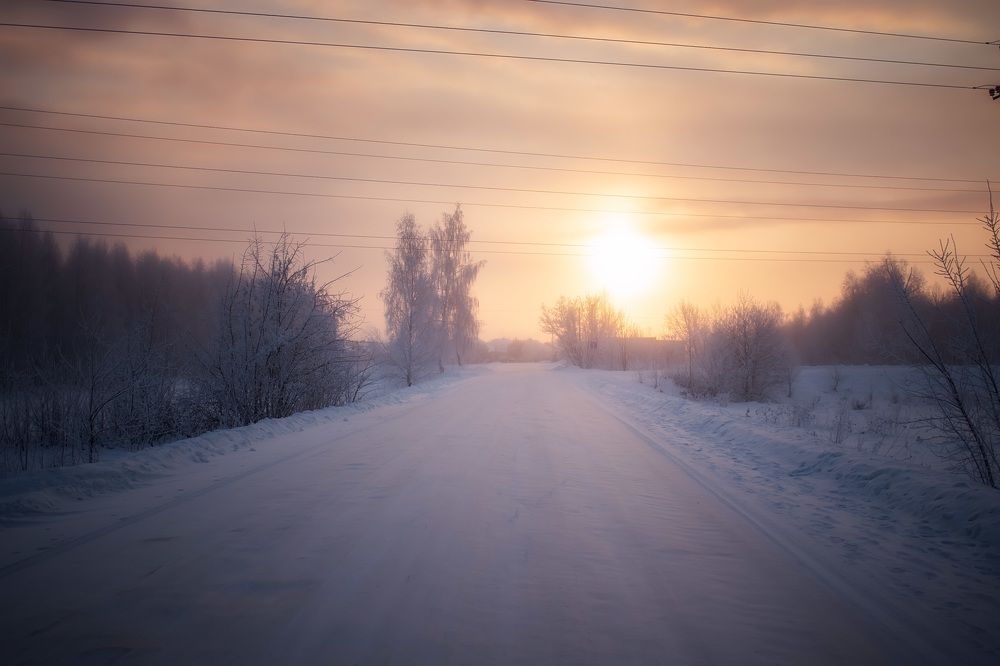 Photograph by Евгения Баширова