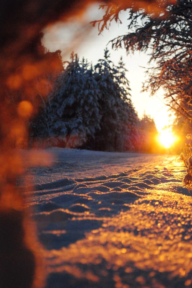 Photograph by Мария