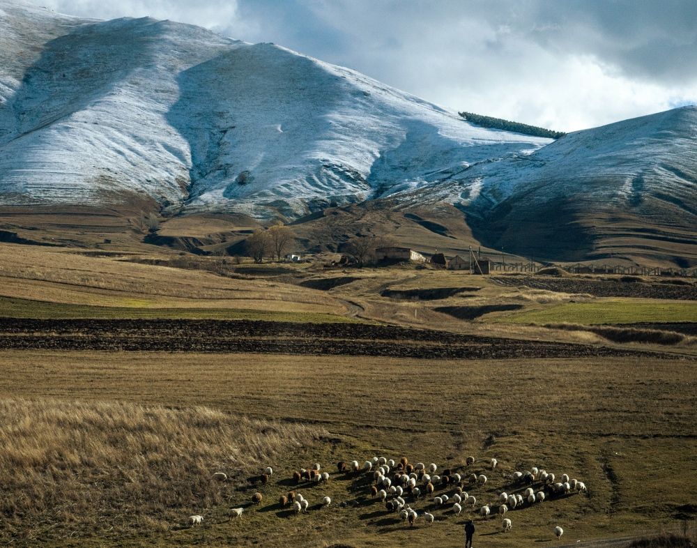 Photograph by Margarita Presidentova