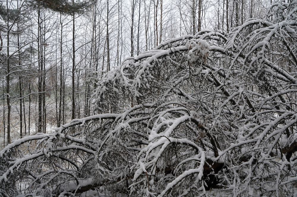 Photograph by Измаил Ефимов