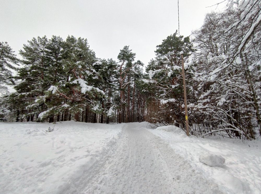 Photograph by Дмитрий Шарый