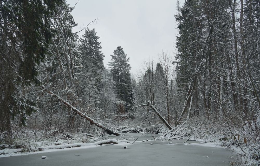 Photograph by Измаил Ефимов