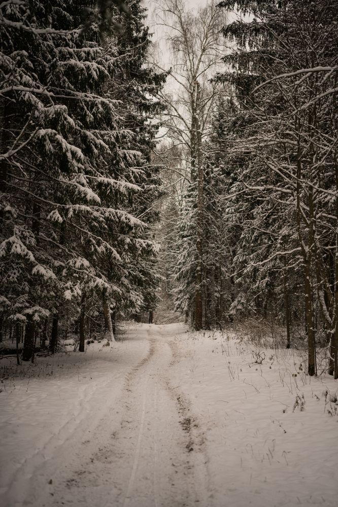 Photograph by Герман Крупенин