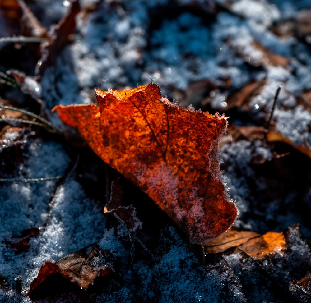 Photograph by Герман Крупенин