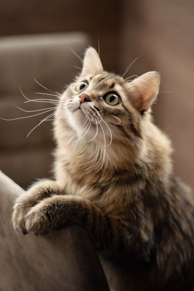 Photograph by Мария Сафронова