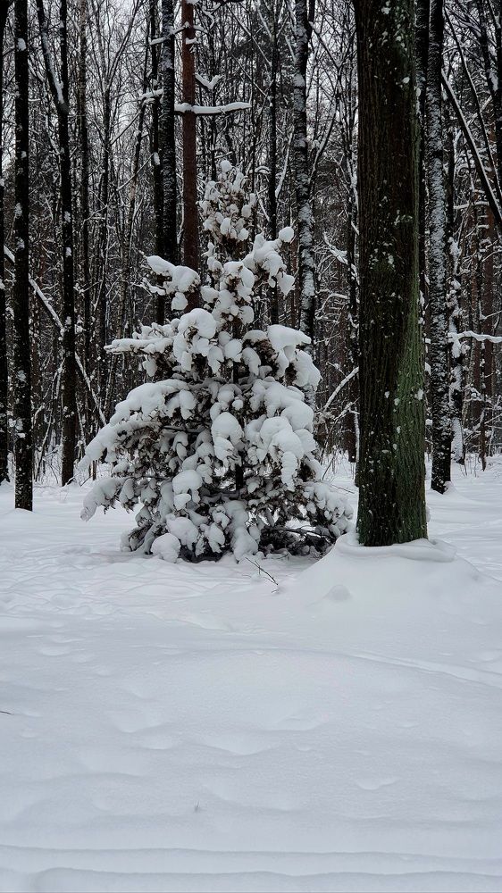 Photograph by Виктория Образцова
