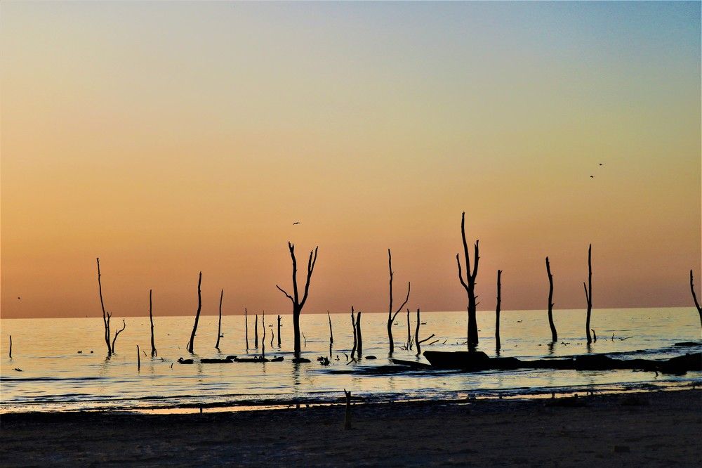 Photograph by Patricia Delionardis