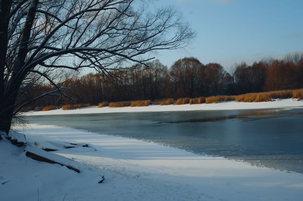 Photograph by Елена Леонидовна