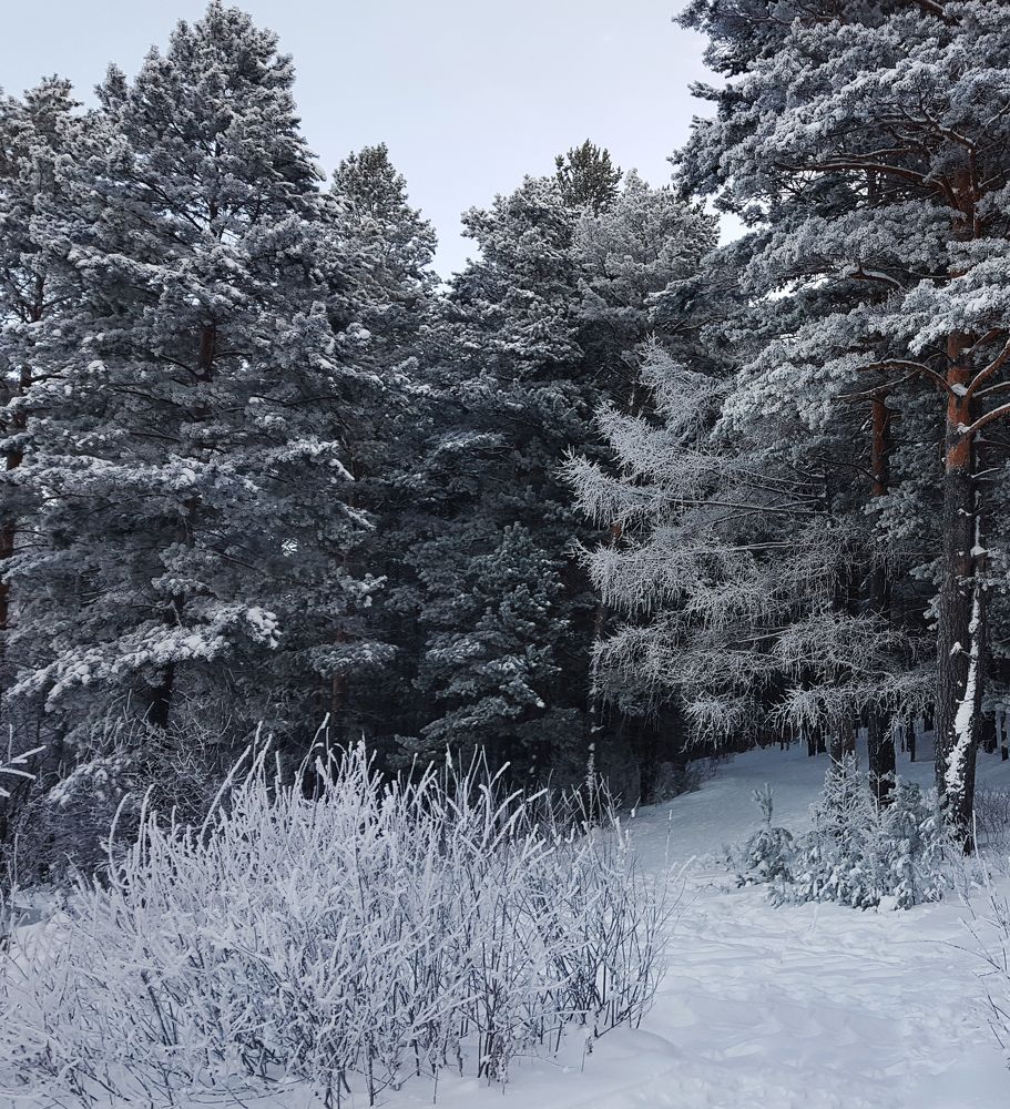 Photograph by Nataliya Kalinina